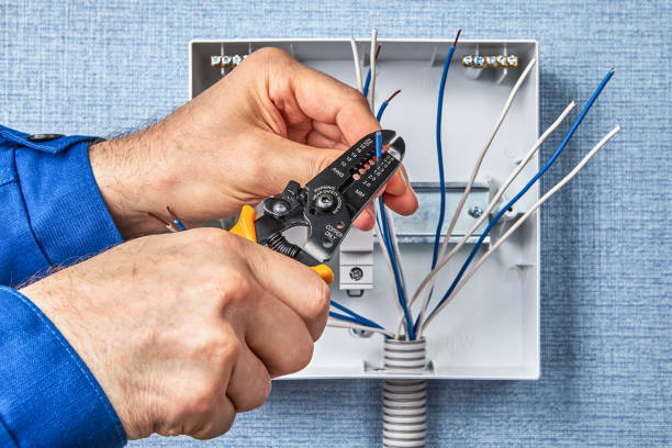 Best Surge Protection Installation  in Wesley Chapel, FL